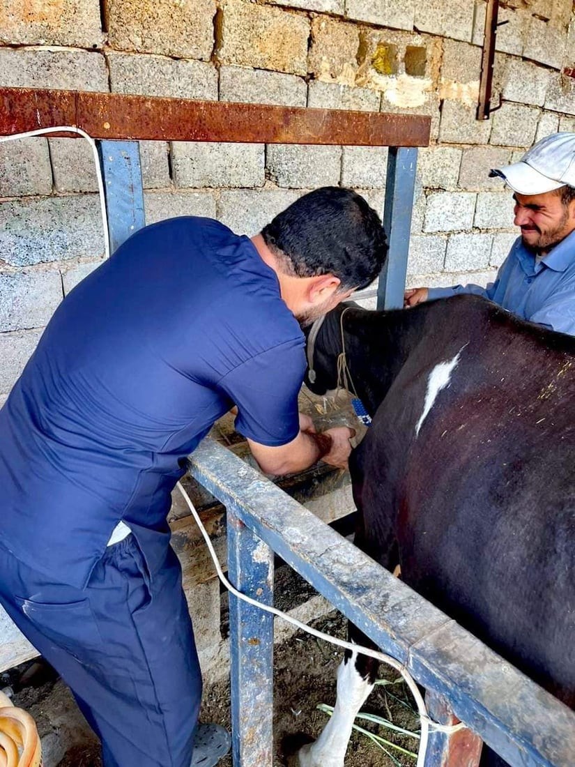 خورماتوور هه‌ڵمه‌تێكی ده‌ستپێكردووه‌ بۆ سەلامەتی ئاژه‌ڵ و باڵنده‌ و مرۆڤه‌كان
