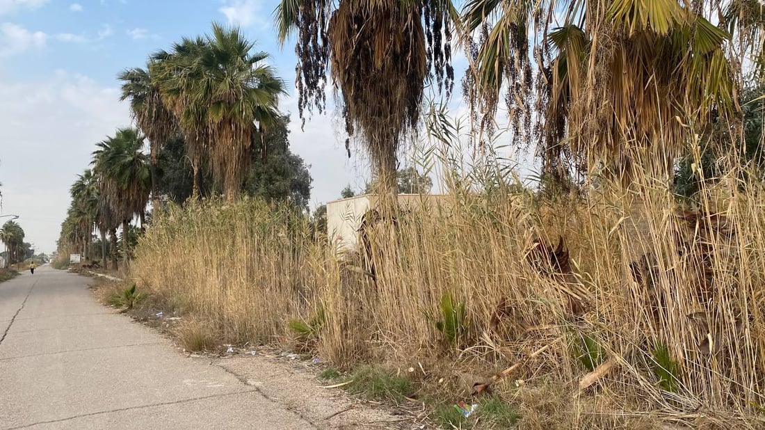 الجامعة العراقية تنقل بعض الكليات إلى أبو غريب.. والطلبة يضطرون للمشي كثيراً!