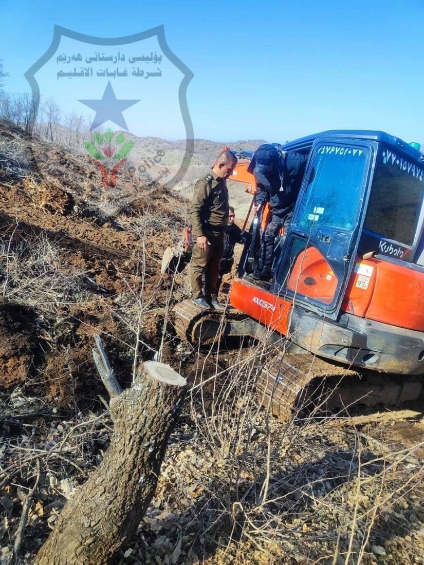 لە پێنجوێن دوو داربڕ کارەساتێکى ژینگەییان دروست کرد