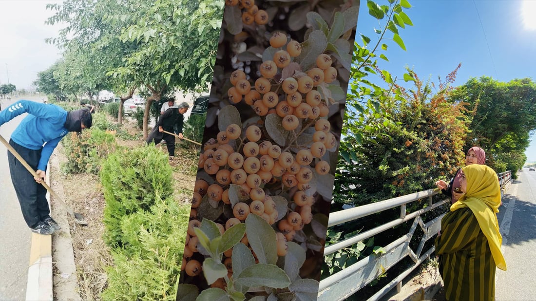 چاره‌سه‌رى كێشه‌ و گرفتى باخچه‌ و پاڕكه‌كانى ناحیه‌ى سیراون ده‌كرێت