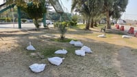 صور من شوارع النجف: أكياس رمل ولافتات عالية عقدت الدعاي...