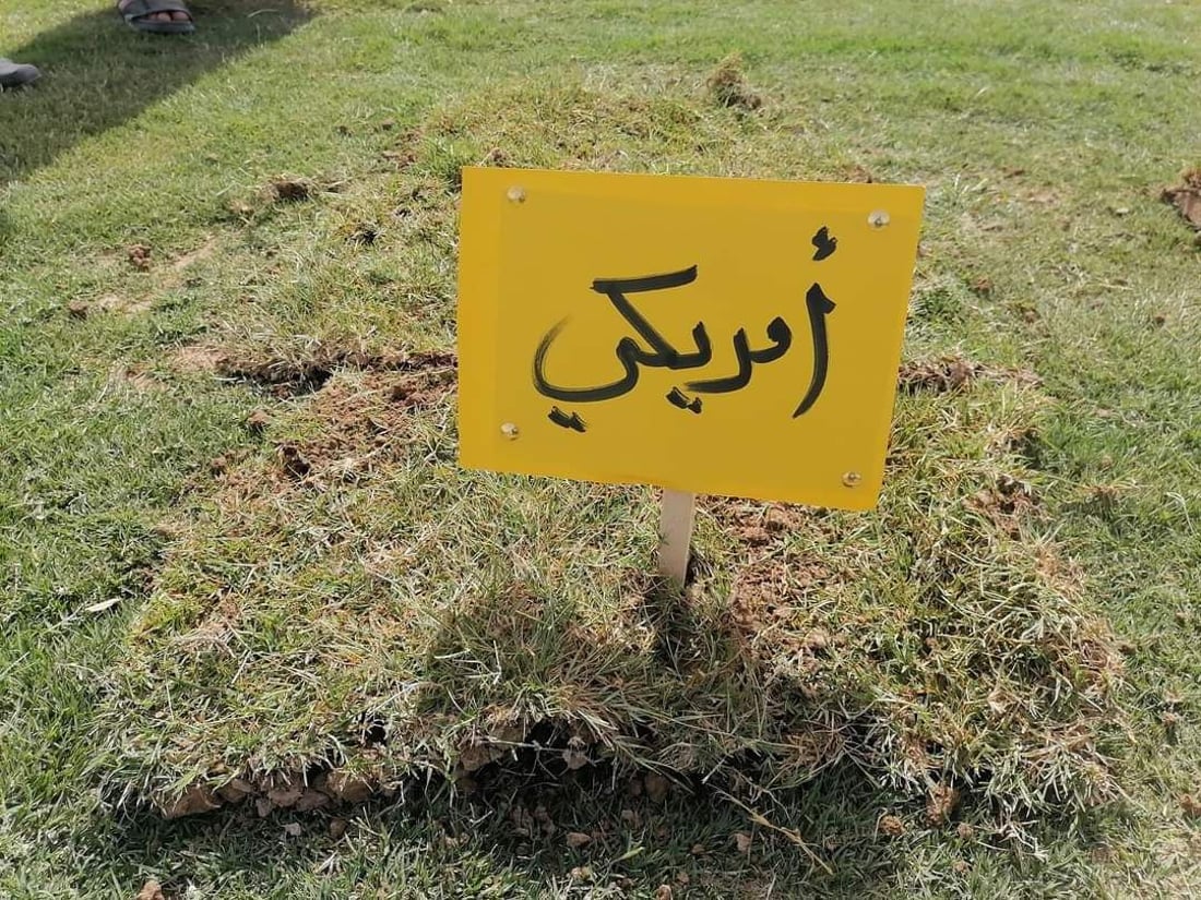 “بزايز بهرز” مركز زراعة “الثيل” في العراق.. تسوّق 5 أنواع للمنازل وملاعب الكرة