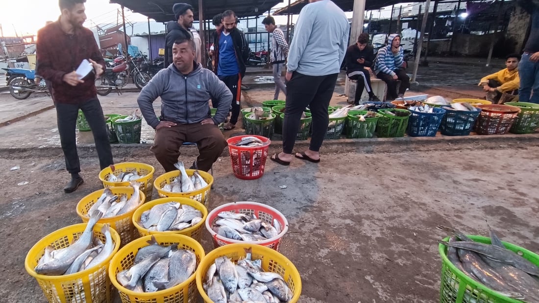 الزبائن من كل العراق يعودون بكثافة الى مزاد أسماك الفاو مع اعتدال الربيع