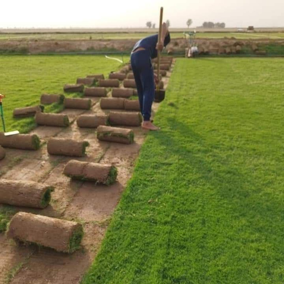“بزايز بهرز” مركز زراعة “الثيل” في العراق.. تسوّق 5 أنواع للمنازل وملاعب الكرة