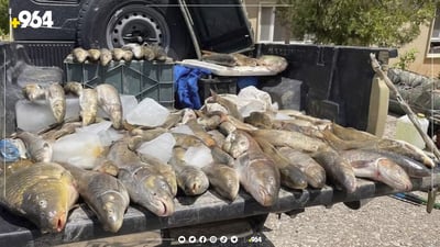 دهوك: شرطة الغابات تلقي القبض على “أخطر صياد سمك” في المدينة