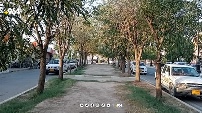 دارەکانی گردەگۆزینە بەکەمی ئاویان پێدەگات و شارەوانیش رەتی دەکاتەوە