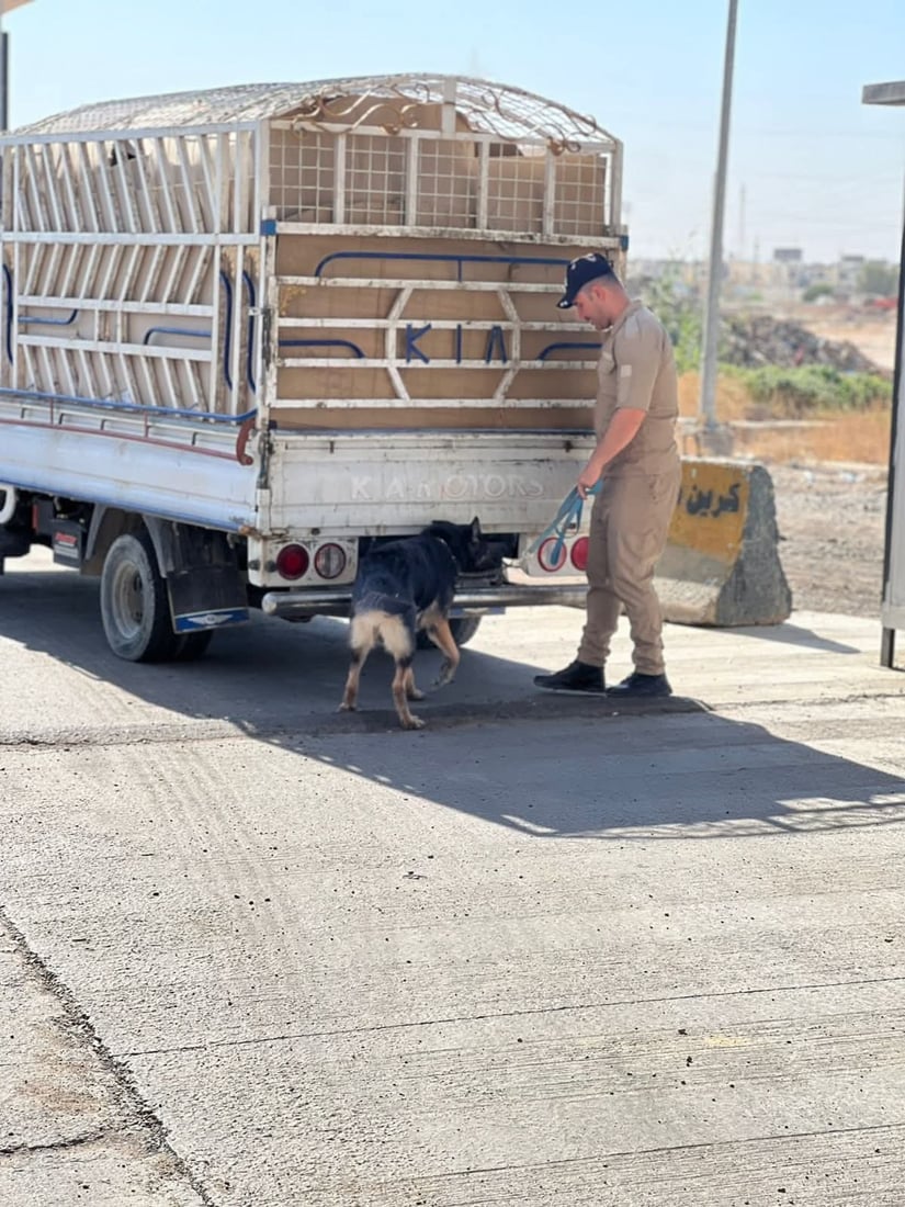 فەرماندەی پۆلیسی سەڵاحەدین بۆ 964: سەگی پۆلیسیمان هێناوە