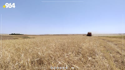 زیاتر لە 131 هەزار تۆن گەنم لە جووتیارانی هەرێم وەرگیراوە