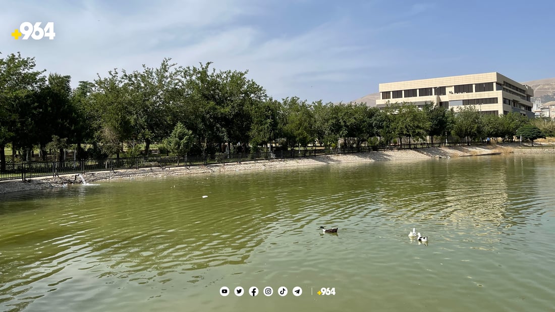 شەوانە گڵۆپ و دارەكانی پاركی ئازادی دەشكێندرێن