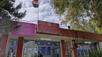 كلاب سائبة تهاجم تلاميذ الدبس.. ضحية اليوم طفلة من قرية ...