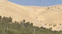 وردەکاری کەوتنە خوارەوەی کۆپتەرەکەی سلێمانی