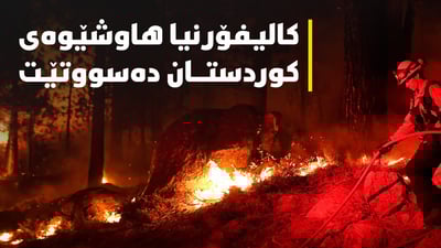 كالیفۆرنیا هاوشێوەی كوردستان دەسووتێت 