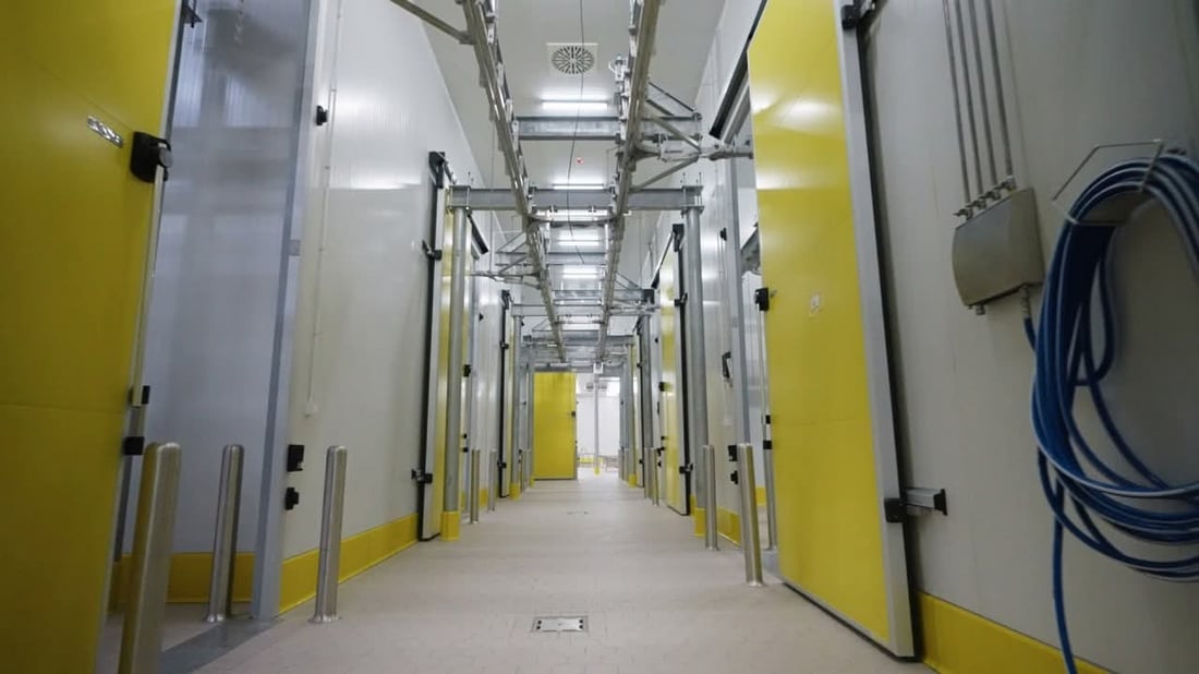 50هەزار ئاژەڵ بەیەکەوە جێگەیان دەبێتەوە 