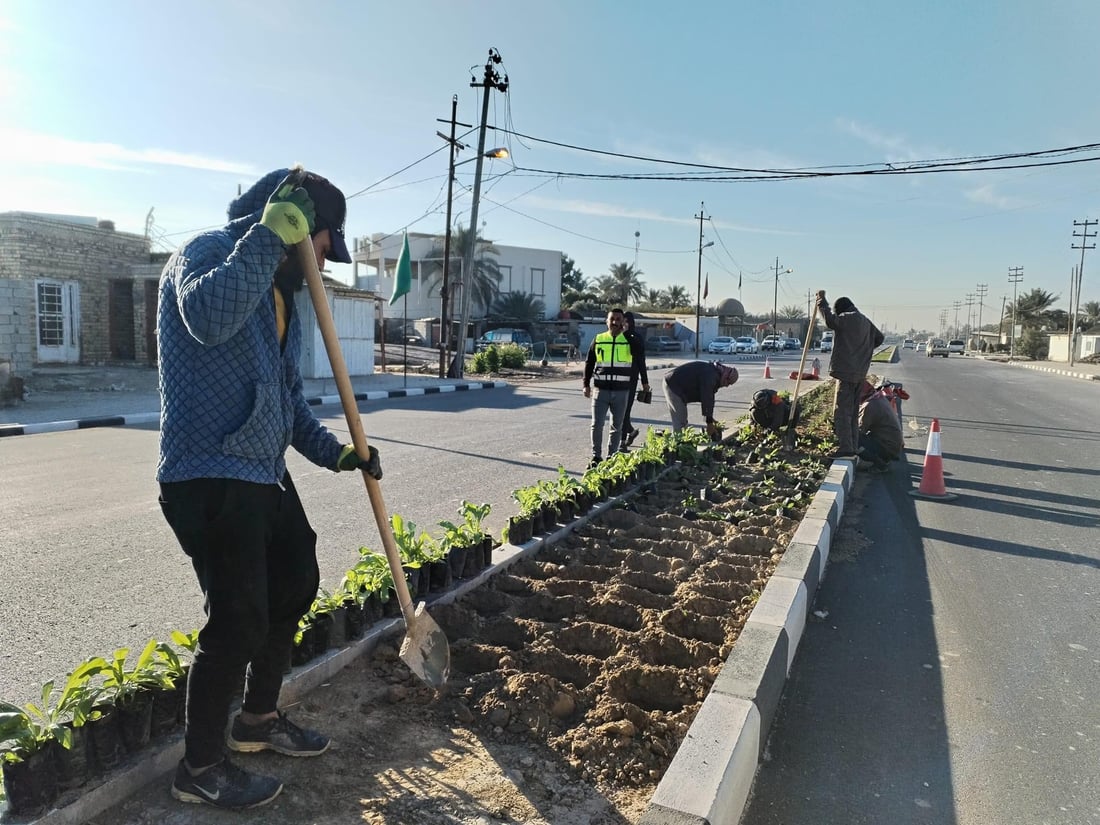 المشخاب تدعو أهلها للمشاركة في زراعة طريق القادسية.. أشجار أكاسيا بين الأقحوان