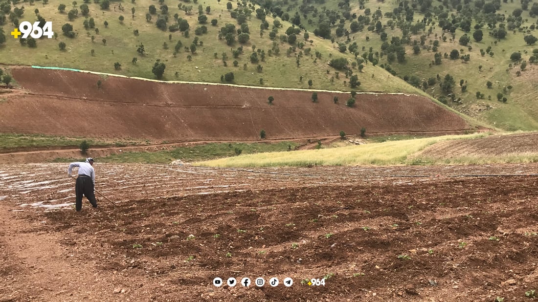 لە زۆرینەی زەوییە کشتوکاڵییەکان بە قەرز دەست بە چاندن کراوە