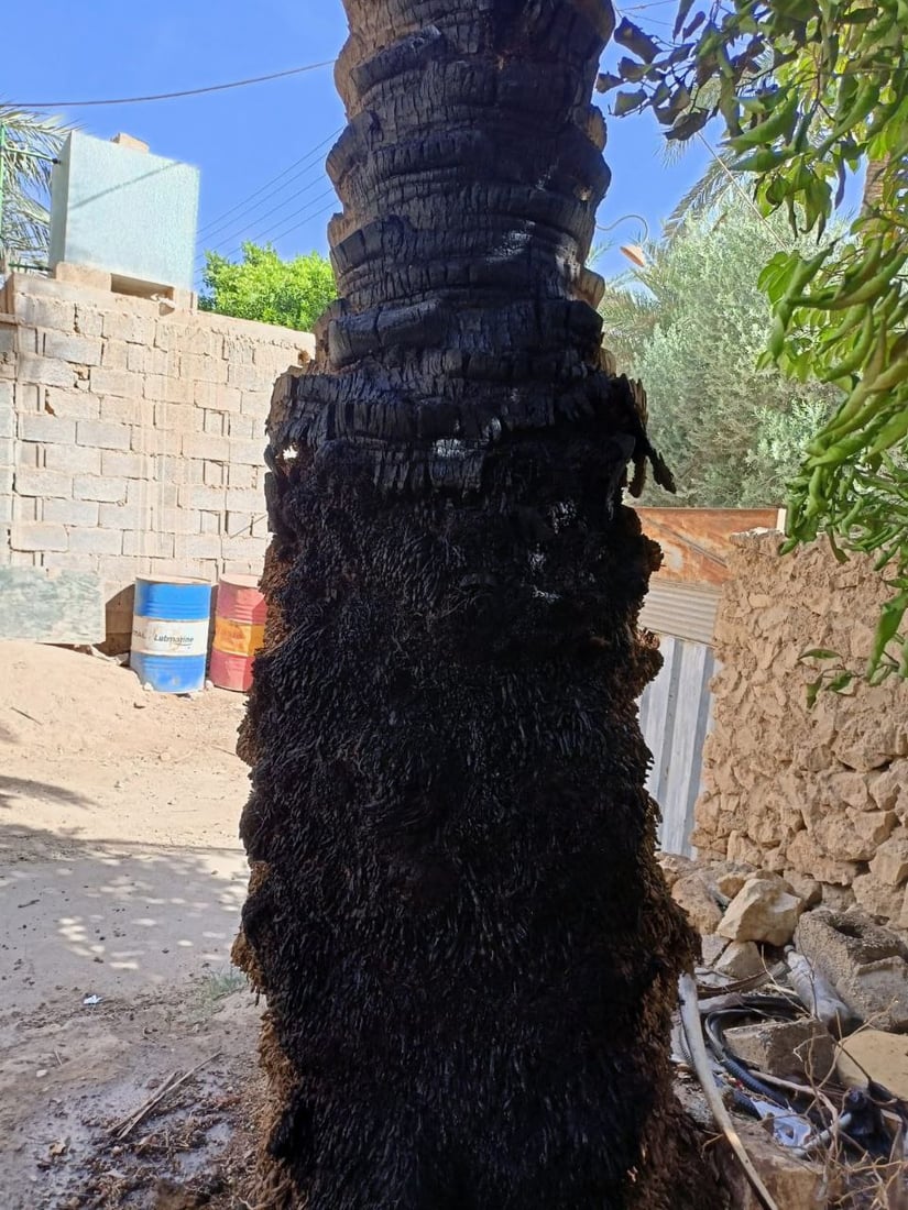 فيديو: طويل القامة ويسرق ثم يحرق.. “أبو طبر” يقلق حديثة والشرطة تستنفر