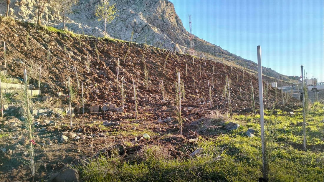 Thousand Trees Planted in Ranya to Enhance Greenery and Environment