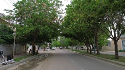 کەلار سەوزە؛ سەوزتریش دەبێت