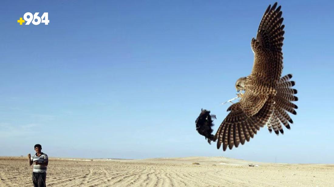 Border police arrest seven for illegal hunting and firearms possession