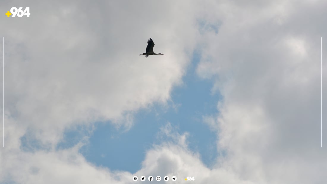 لەق لەقەکانی گوندی باریکە