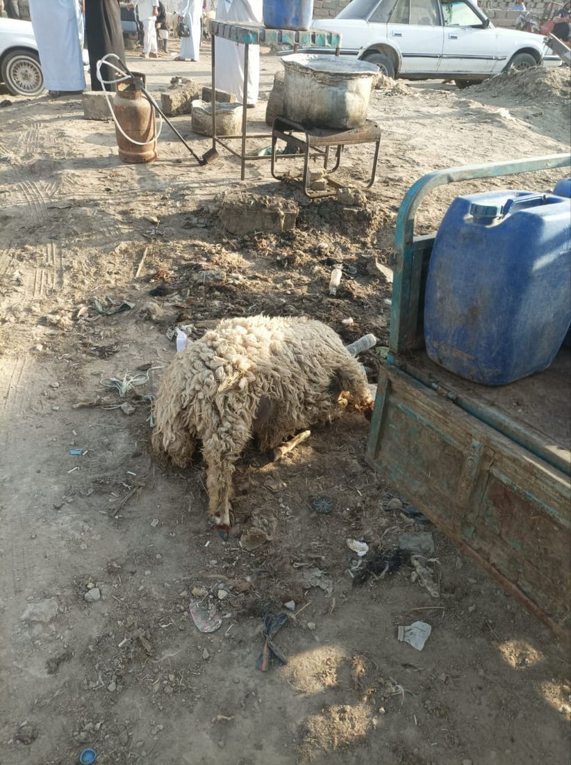 صور: اعتقال 3 جزارين ومصادرة ذبائح غير صالحة في سوق الشيوخ