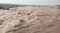 شاهد: سيول هادرة تجرف طفلاً ثم والده وابن عمه في بادية ا...