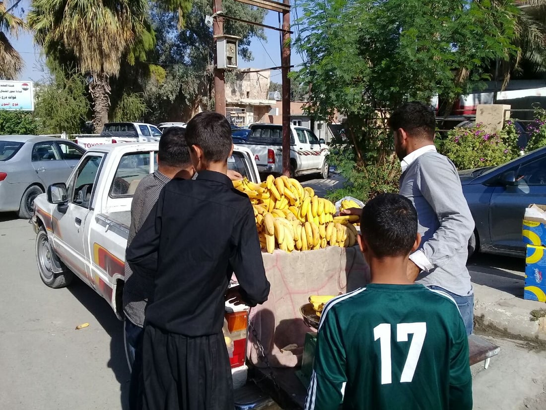 آلتون كوبري تأكل الموز من أربيل.. گوران يربح 100 دينار ويخسر دگة الميزان (صور)