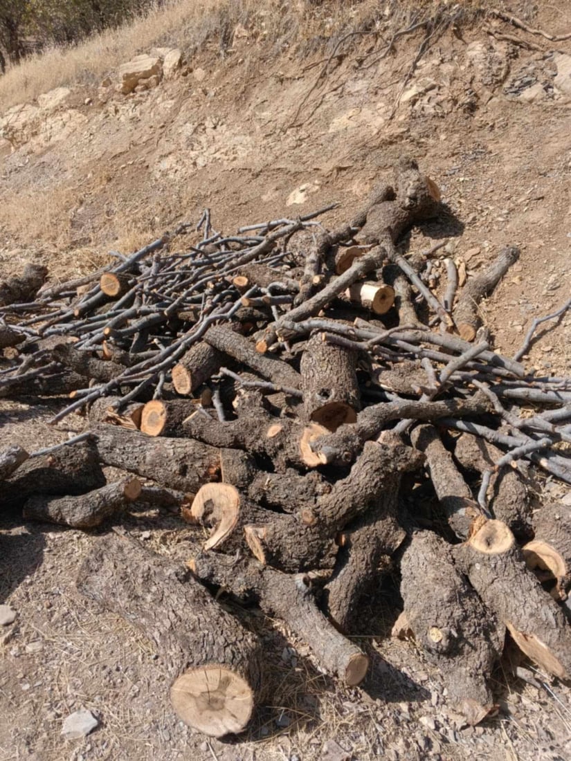 دەستبەسەر دەیان كۆتەرە داردا گیرا و دوو كەسیش دەستگیركراون