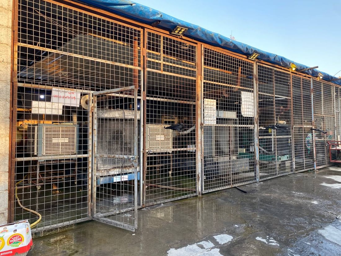 ئەگەر لە دووى شەوەوە کارەباى نیشتمانى نەیەتەوە بێ کارەبا دەبن