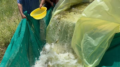 دهوك تدشن سد “خنس” الجديد بـ 75 ألف سمكة وتستعد لإعلانه مشروعاً سياحياً