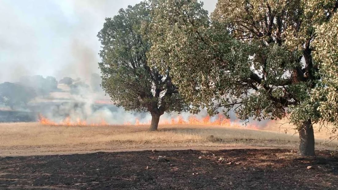 هۆكارێكی نادیار 1000 دۆنم پووش و پاوانى له‌ شارباژێڕ سووتاند