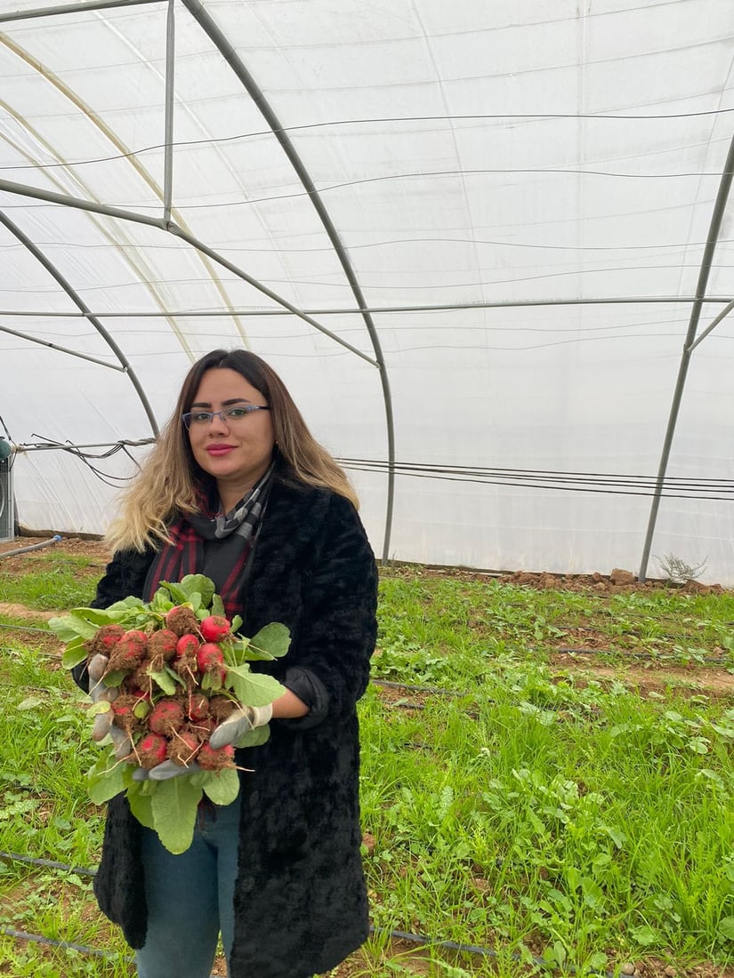 توره‌كانى كشتوكاڵى هه‌ولێر پێگه‌یشتن