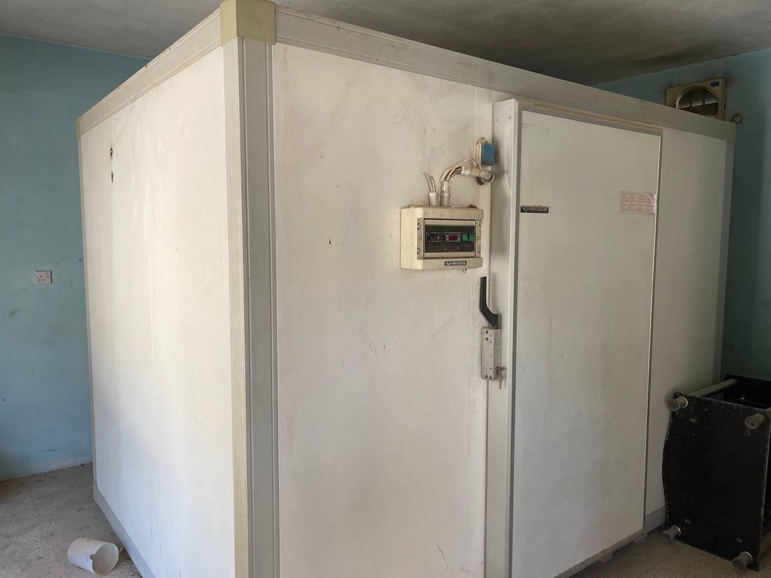 بەڕادە تاقانەکەی ڤێتێرنەری بەردەڕەش فرۆشرا