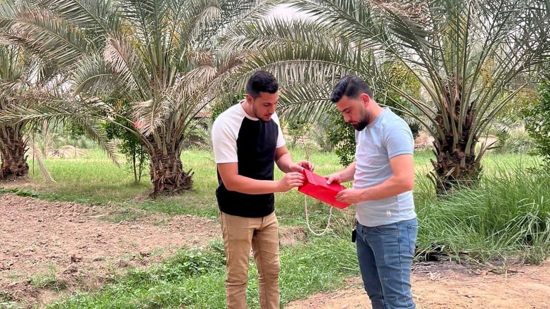 هيت تنصب مصائد “جاكسون” لحماية التمور.. مواجهة حاسمة مع الحميرة