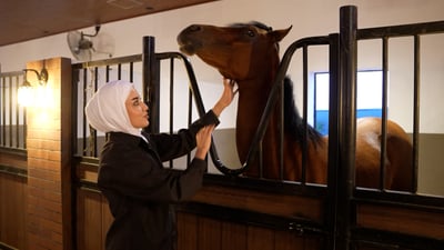 مستشفى لخيول البصرة.. الفارسة فاطمة بكامل الأناقة في جزيرة الصالحية