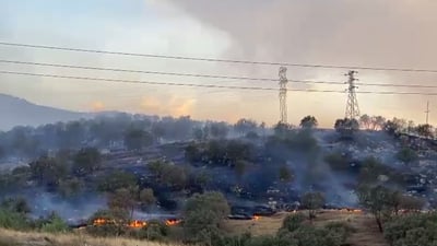 لە راپەڕین 170 دۆنم گەنم سووتا و لە دوکانیش ئاگر هەیە