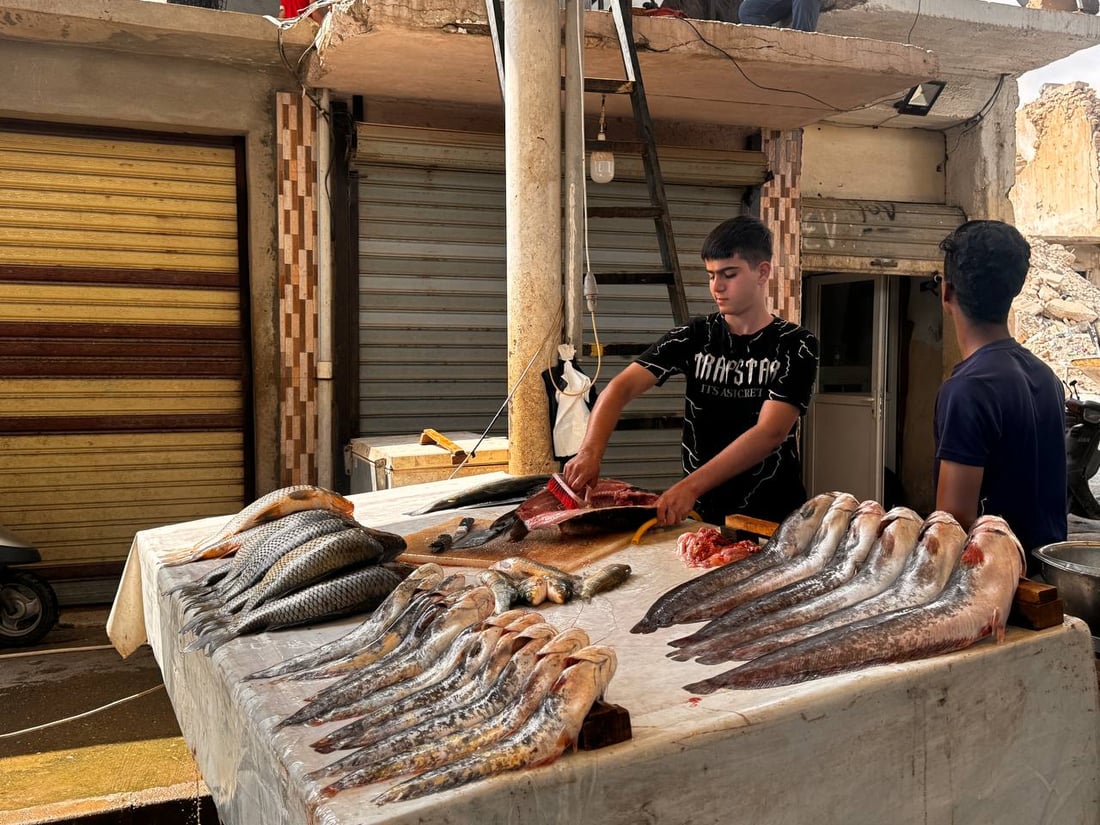 سوق السمك في الموصل ينتعش.. زوار أجانب يتوافدون يومياً (صور)