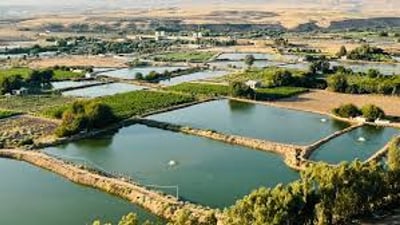 Authorities give unlicensed fish farms in Aghjalar until November to comply