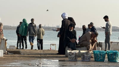 أمواج البحر العاتية تعرقل الصيد وترفع أسعار الصبور في مزاد النقعة