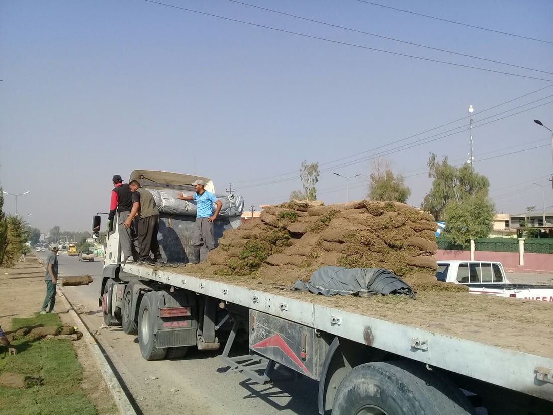 صور: بلدية آلتون كوبري طردت الكلاب السائبة من الجزرة وفرشت “الثيل”