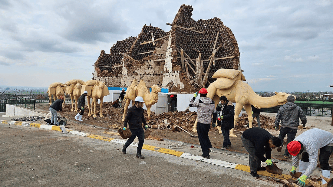 بەهۆی بارانبارینەوە سەدان کۆتر مرداربوونەوە