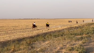 فيديو: شمّر لا تنزل عن ظهور الخيل.. سباق الأصايل في صحراء ربيعة