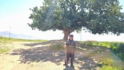 پیرە داربەڕوویەک ژیانی ئەم پیاوەی لە ئەنفالێکی حەتمی پاراست
