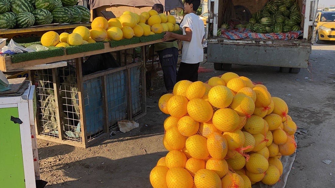 الناصرية: البطيخ الإيراني ضيف ثقيل على العراقي مع نهاية الموسم (صور)