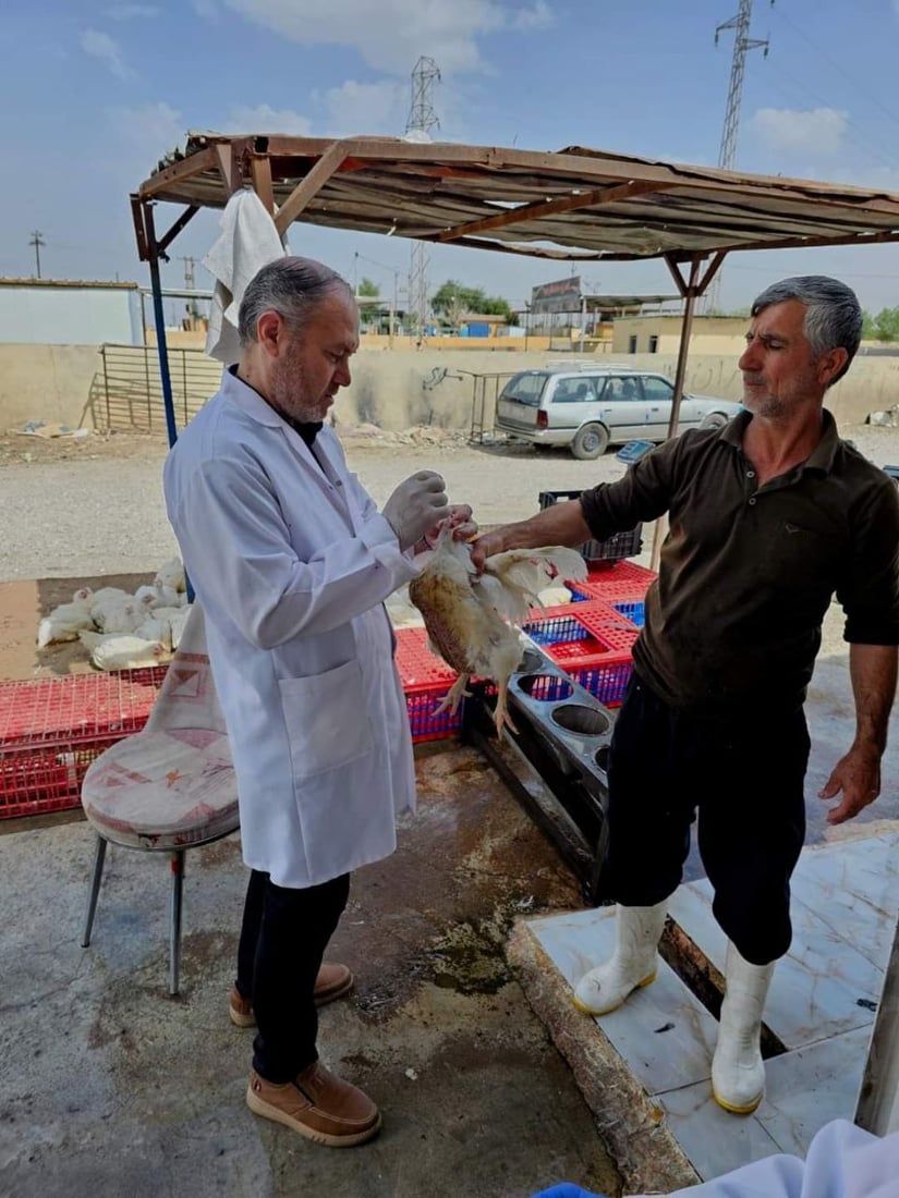 پەلەوەر و باڵندەکانی دوزخورماتوو دەکوترێن