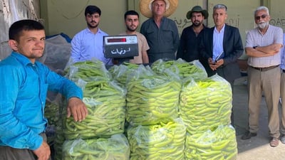 جوتیارانى ته‌قته‌ق 11 جۆر میوه‌ى خۆماڵیان خستووه‌ته‌ بازاڕه‌وه‌