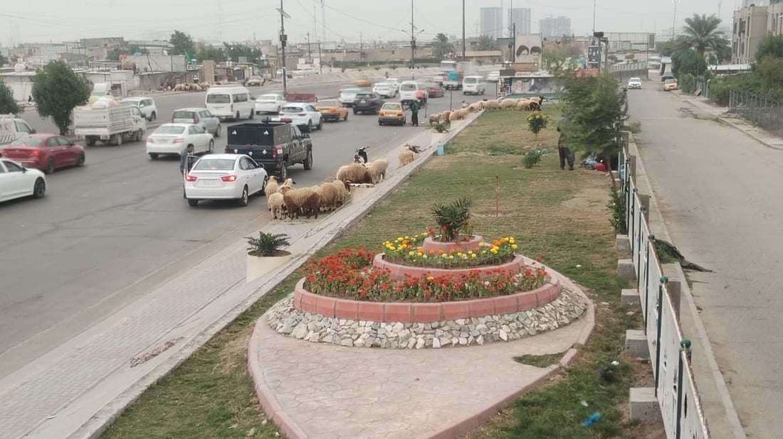 لعبة القط والفأر لا تتوقف.. “جوبة حي صدام” عادت فور انتهاء الحملة (صور)