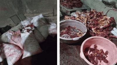 لە سنە دوو تۆن گۆشتی ئەسپ دەستی بەسەرداگیرا