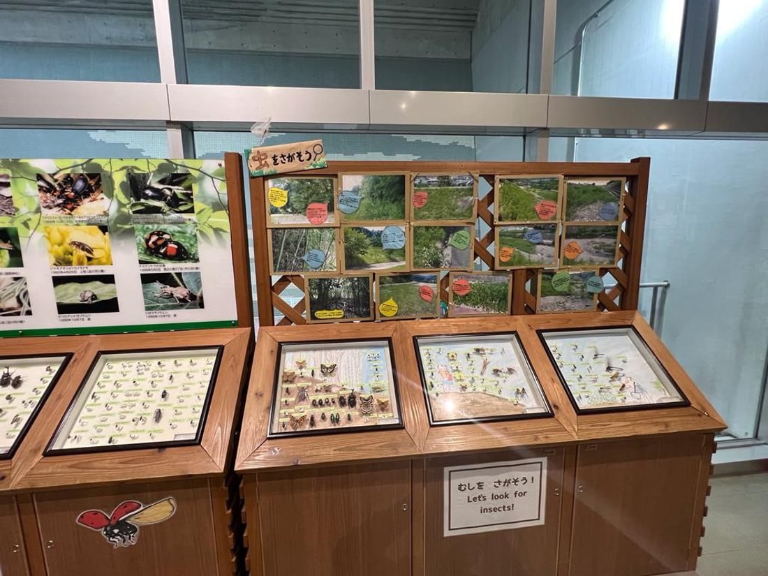 تیمێکی شوێنەواری سۆران لە ژاپۆن ڤیدیۆی تایبەتی مۆزەخانەیەکیان بۆ 964 ناردووە