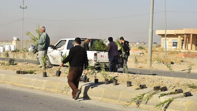 خاكى مه‌خمور چاندنى دارى ده‌دۆنیاى لێده‌كه‌وێت
